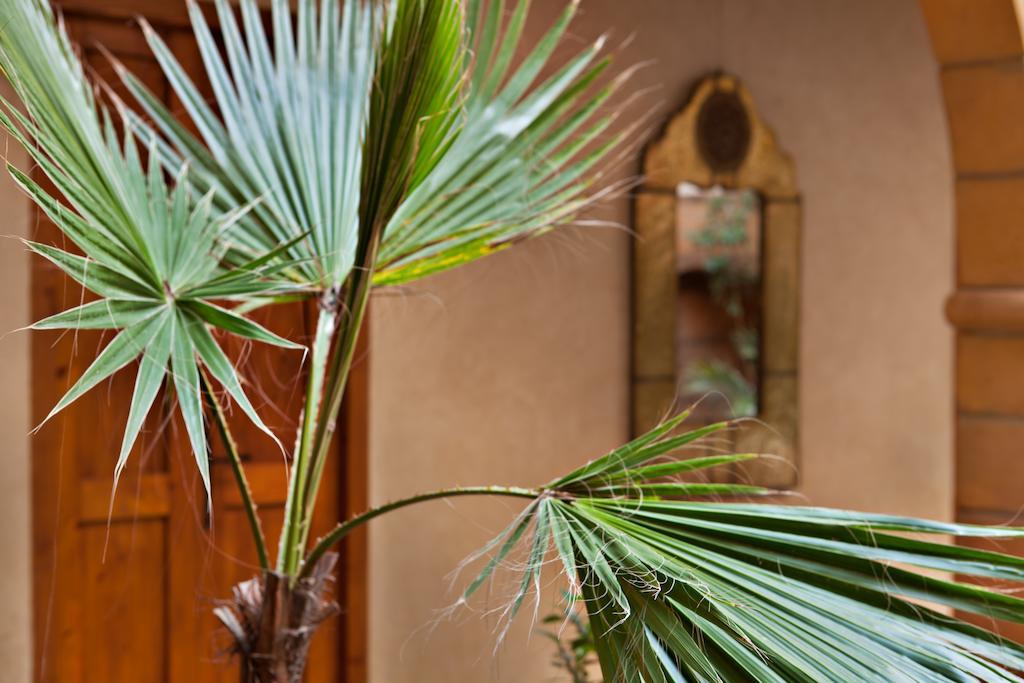 Riad Chbanate Essaouira Ngoại thất bức ảnh